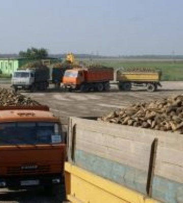 Порадували цукром