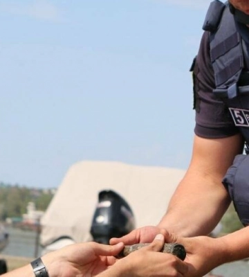 На Одещині виявили три вибухонебезпечних предмети