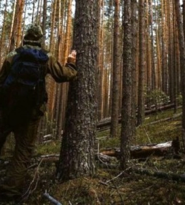 На Закарпатті протягом трьох днів шукають чоловіка, який пішов у ліс по гриби