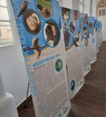 У Закарпатському краєзнавчому музеї презентували виставку про птахів Карпат