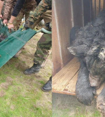 У деокупованому Лимані знайшли понад 50 свіжих поховань із цивільними. ФОТОрепортаж