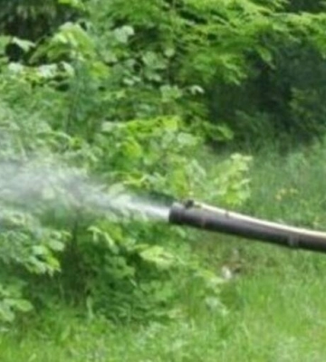 З понеділка у Львові розпочинається другий етап акарицидної обробки парків: графік
