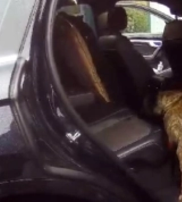 В «Устилузі» службовий собака знайшов наркотики в автомобілі поляка