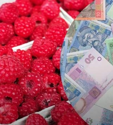 Оптові ціни на малину бʼють рекорди