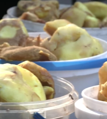 Скільки коштують гриби на рівненських ринках