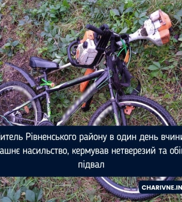 На Рівненщині зловмисник ховав крадені велосипед та інструменти у кущах