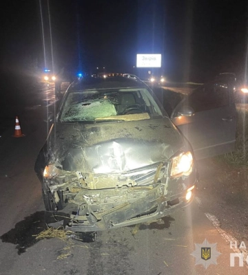 На Волині легковик врізався у кінну підводу: у ДТП постраждали молодик та двоє дітей (ФОТО)