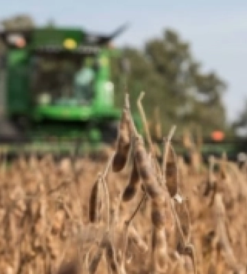 Аграрії України засіяли вже 3,8 млн га озимих культур