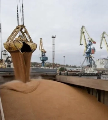 Росіяни цьогоріч вивезли через порт Маріуполя понад 180 тисяч тонн українського зерна - Шмигаль