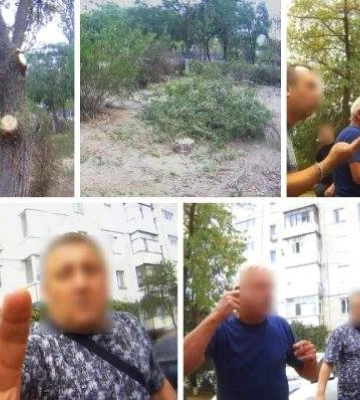 За пошкодження зелених насаджень оштрафовано голову ОСББ