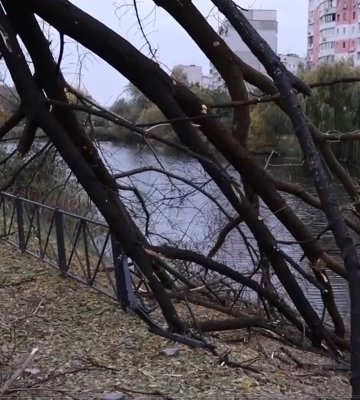 Россияне ударили ФАБ-250 по парку возле озера в Харькове – прокуратура