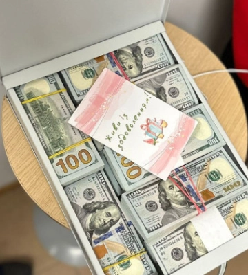 ДБР виявило у депутатки Хмельницької міськради понад 1,5 мільйона незадекларованих доларів, фото