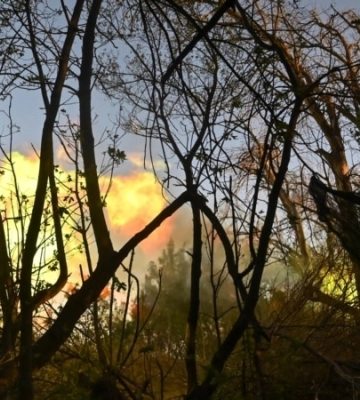 На Харківщині ЗСУ фіксують збільшення використання снарядів з Північної Кореї