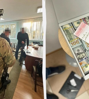 У депутатки Хмельницької міськради знайшли 1,5 млн дол., її затримали - ДБР