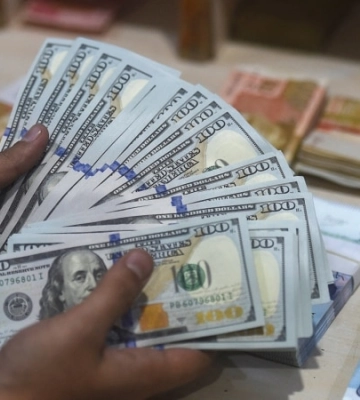 ДБР виявило в депутатки Хмельницької міськради понад 1,5 млн доларів готівкою