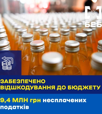Бюро економічної безпеки на Закарпатті забезпечило відшкодування до бюджету 9,4 млн грн несплачених податків