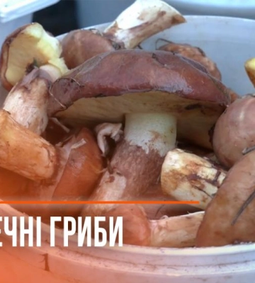 На Рівненщині знешкодили 11 авіабомб часів Другої світової
