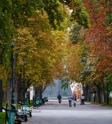 Холодна ніч, теплий день. Якою буде погода 10 жовтня у Харкові та області