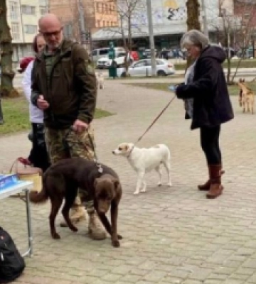 У Лисиничах безкоштовно вакцинуватимуть від сказу домашніх тварин