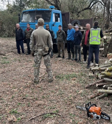 Чорні лісоруби випиляли дерев на понад 2 мільйони гривень на Кіровоградщині 