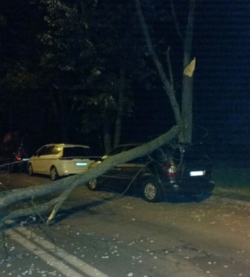 У Деснянському районі дерево впало на припарковану автівку 