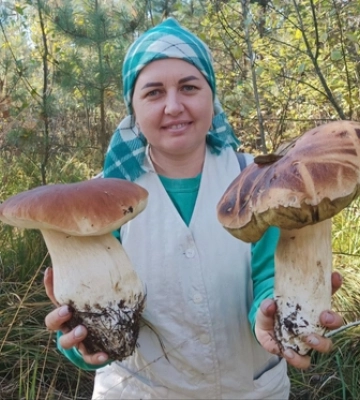 «Бетонка» рулить: у Маневичах зібрали 15 відер грибів 