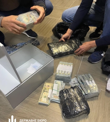 Арешт депутатки Хмельницької міськради: знайдено незадекларовані 1,5 мільйона доларів