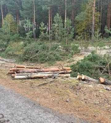 У Костопільській громаді - День жалоби: в останню земну дорогу проведуть захисника Володимира Дениска