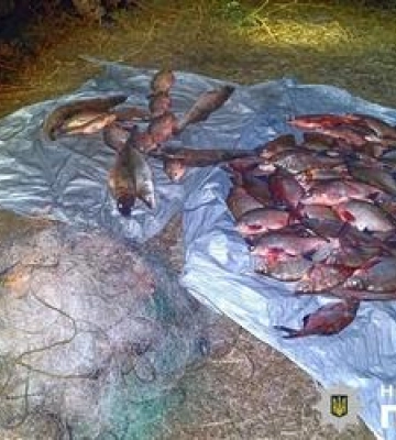 На Полтавщині двоє мешканців незаконно виловили 50кг риби