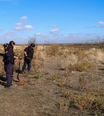 Чотири корови підірвалися на мінному полі на Миколаївщині
