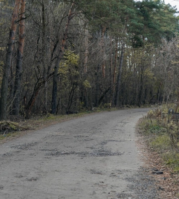 Розтрата коштів і недбалість: що відомо про підрядника, який за 51 млн робитиме дорогу до військового кладовища під Полтавою