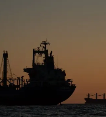 Понад 50 млн тонн української агропродукції транспортовано морським коридором - Мінвідновлення