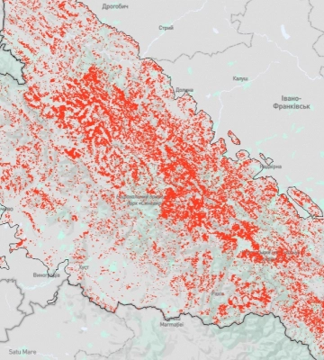 NGL.Media: в українських Карпатах за 20 років вирубали майже 10% усього лісового покрову