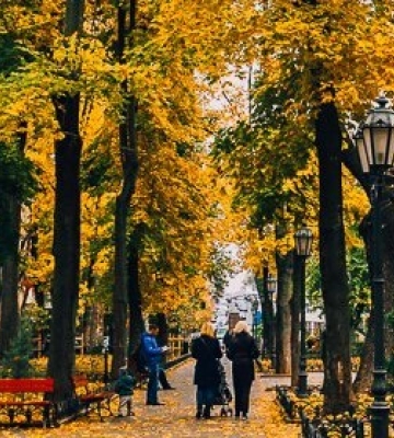 Завтра в Одесі мінлива хмарність, без опадів