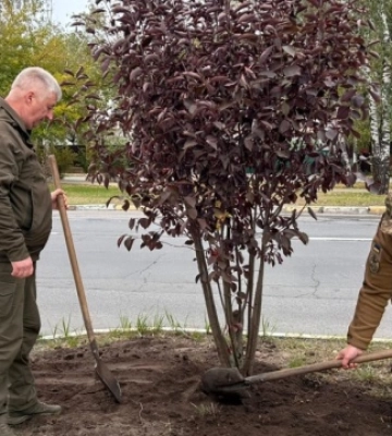 У Гостомелі висадили дерева на честь полеглих захисників міста
