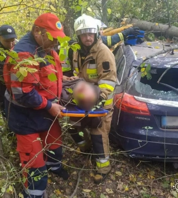 На Вінниччині легковик вилетів з дороги у дерево, пораненого водія діставали рятувальники (ФОТО)