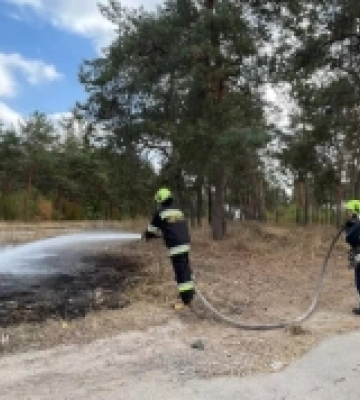 На Кіровоградщині рятувальники загасили 16 пожеж сухої трави, сміття та сухого листя