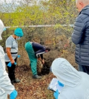 На Миколаївщині чоловік побив до смерті співмешканку та закопав у лісі
