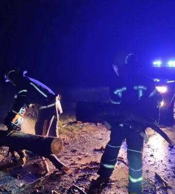 На трасі під Луцьком дерево впало на автівку 