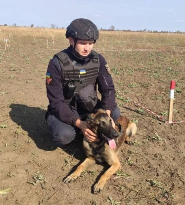 Мінно-пошукові собаки допомагають розміновувати Миколаївщину