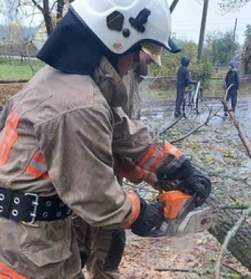 На Камінь-Каширщині дерево впало на дорогу 
