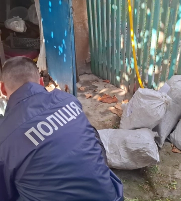 Трохи для себе: у Білгород-Дністровському районі чоловік доглядав цілу плантацію конопель