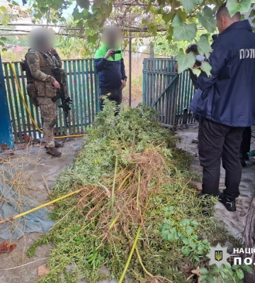 На Одещині викрили наркоаграрія
