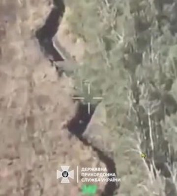 Прикордонники знищили ворожу гармату-гаубицю Д-20 та атакували укриття окупантів на Вовчанському напрямку. ВIДЕО