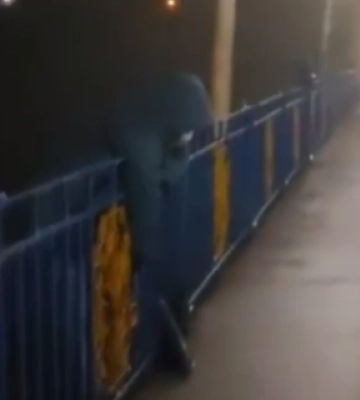 У Луцьку жінка намагалася стрибнути з мосту, її врятував перехожий. Відео