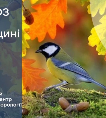 На Рівненщині цього тижня очікуються сильні нічні заморозки