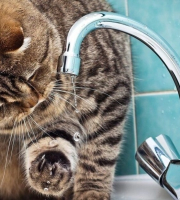 Масштабне відключення води в Одесі: хто залишиться без постачання