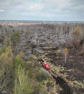На Чернігівщині майже місяць намагаються приборкати пожежу на торф’яниках