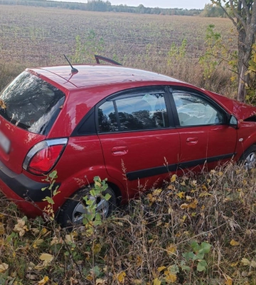 На Житомирщині легковик вилетів у кювет та врізався у дерево, його водійка загинула