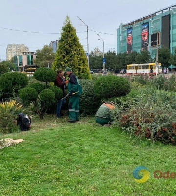 Комунальники висаджують в Одесі осінні квіти
